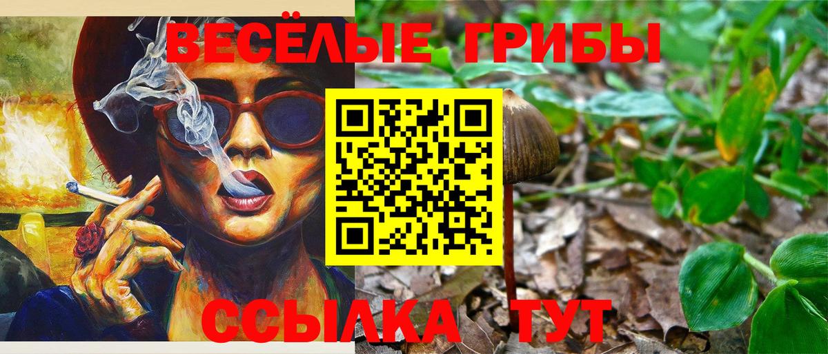 Галлюциногенные грибы мицелий  Псилоцибиновые грибы Magic Shrooms  Вход с VPN  Ивантеевка 